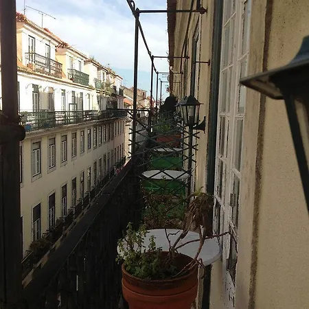 Guest house New Aljubarrota Lisbon